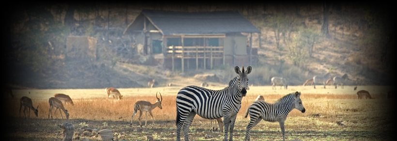 Puku Ridge Tented Camp (South Luangwa National Park) Zambia - www.PhotoSafaris.travel