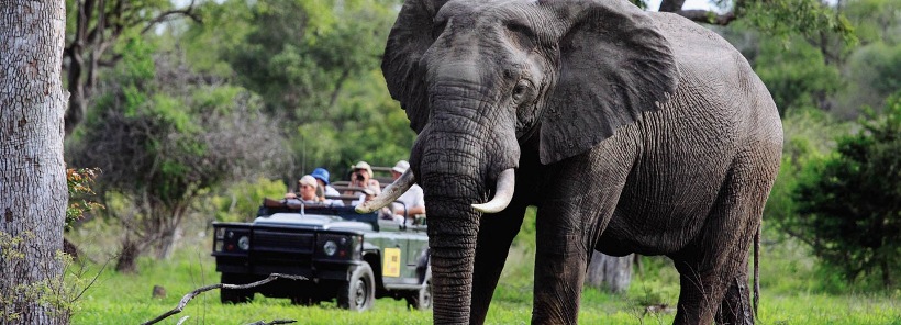 Rattray's on MalaMala (Sabie Sand Game Reserve) South Africa - www.PhotoSafaris.travel