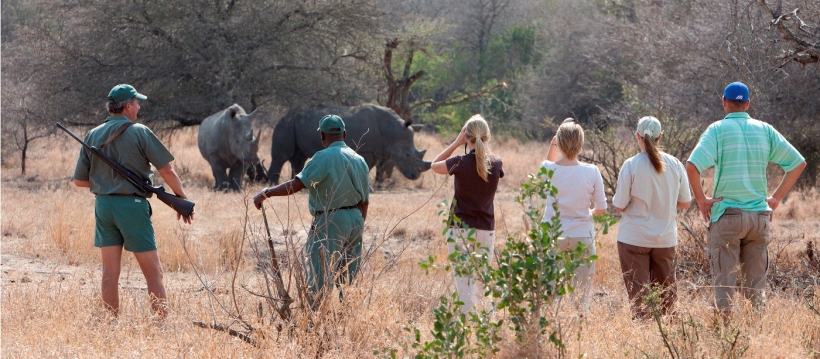 Rhino Post Safari Lodge (Northern Kruger National Park, Limpopo Province) South Africa - www.PhotoSafaris.travel