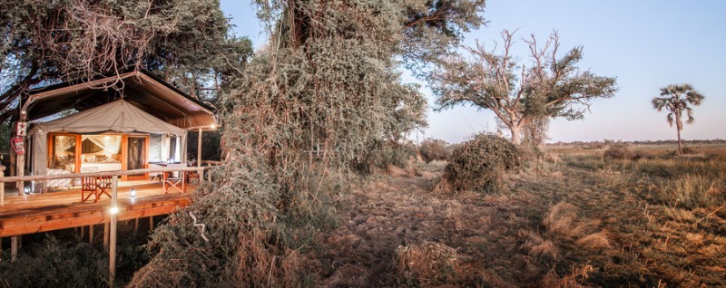 Rra Dinare Camp (Okavango Delta) Botswana - www.PhotoSafaris.travel