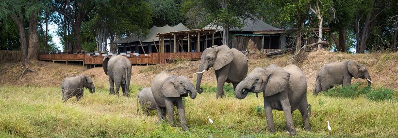 Ruckomechi Camp - Picture by Wildernerss Safaris - www.PhotoSafaris.travel