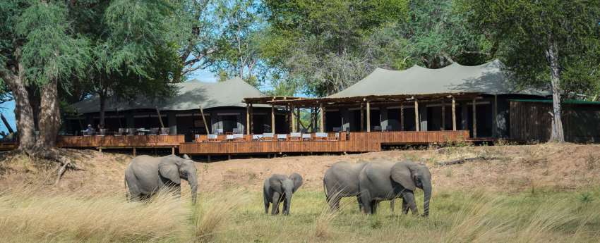 Ruckomechi Camp - Picture by Wildernerss Safaris - www.PhotoSafaris.travel