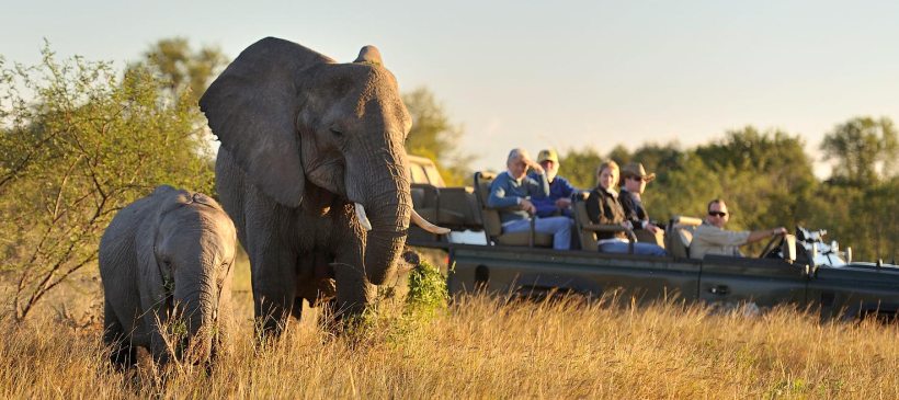 Sabi Sabi Earth Lodge (Sabi Sand Game Reserve) South Africa - www.PhotoSafaris.travel