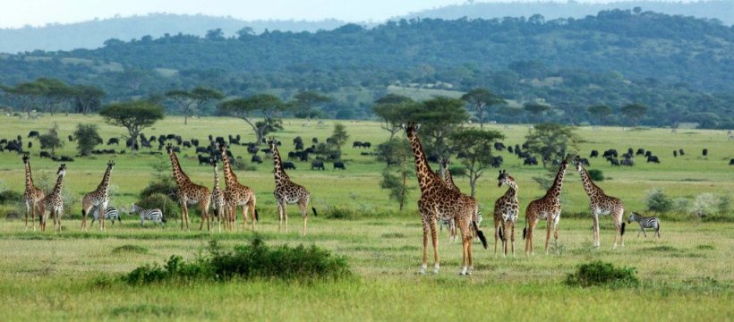 Sabora Tented Camp (Grumeti Reserve, Serengeti National Park) Tanzania - www.PhotoSafaris.travel