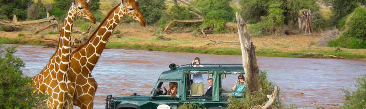  The Wings Over East Africa Safari (14 Days) - www.PhotoSafaris.travel