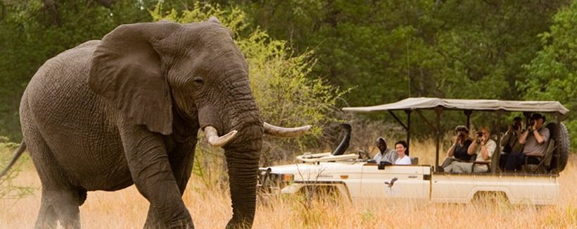 Sanctuary Baines Camp - www.PhotoSafaris.travel