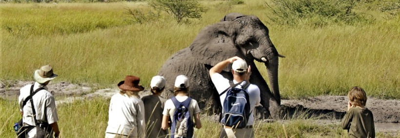 Sanctuary Baines Camp - www.PhotoSafaris.travel