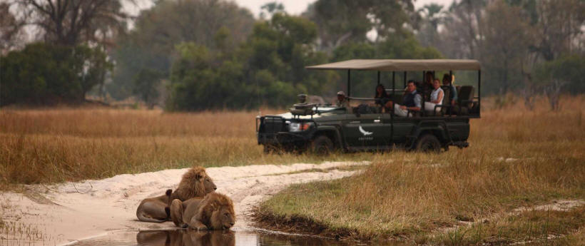 Sandibe Safari Lodge (Okavango Delta) Botswana - www.PhotoSafaris.travel