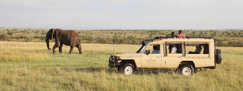 Making Tracks with Sarova Safari (7 Days) - www.Photosafaris.travel