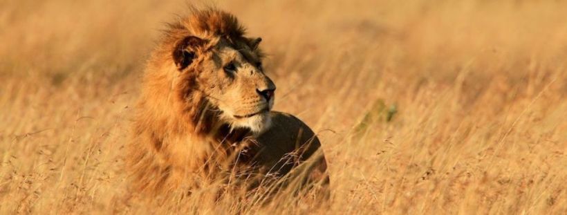 Saruni Lodge (Masai Mara Game Reserve) Kenya - www.PhotoSafaris.travel