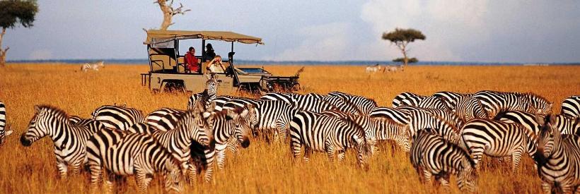 Saruni Lodge (Masai Mara Game Reserve) Kenya - www.PhotoSafaris.travel