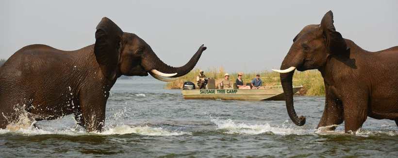 Sausage Tree Camp (Lower Zambezi National Park) Zambia - www.PhotoSafaris.travel