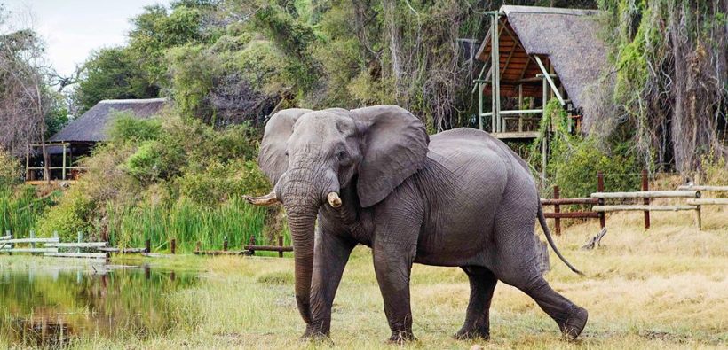 Savute Safari Lodge (Chobe National Park) Botswana - www.PhotoSafaris.travel