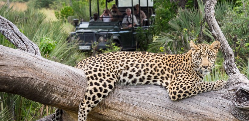 Seba Camp with Wilderness Safaris - www.PhotoSafaris.travel