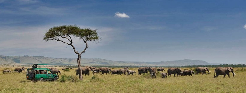 The Simba Safari  - Tanzania (7 Days) -  www.Photosafaris.travel