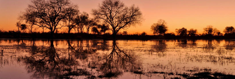 Shinde (Okavango Delta) Botswana - www.PhotoSafaris.travel