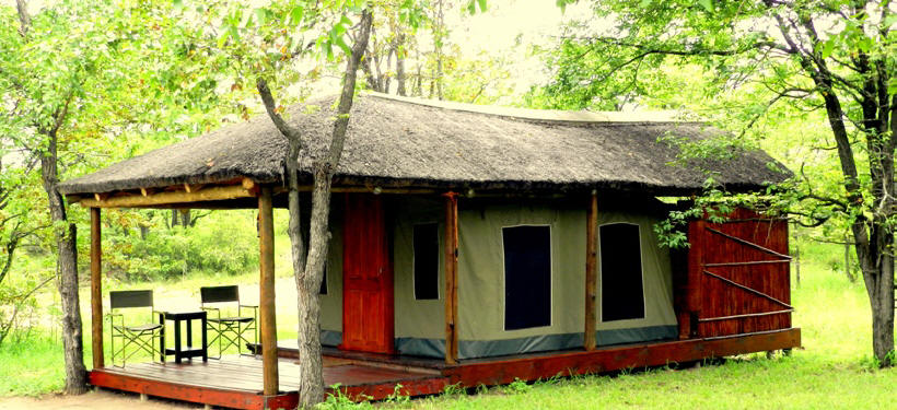 Shindzela Tented Camp (Timbavati Game Reserve) South Africa - www.PhotoSafaris.travel