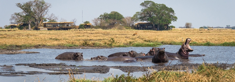 Shumba Camp (Kafue National Park) Zambia - Wilderness Safaris - www.PhotoSafaris.travel