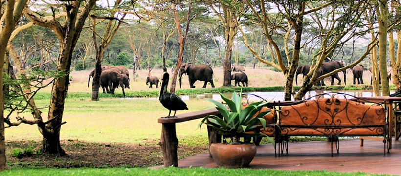 Sirikoi Lodge (Lewa Wildlife Conservancy, Laikipia) Kenya - www.PhotoSafaris.travel