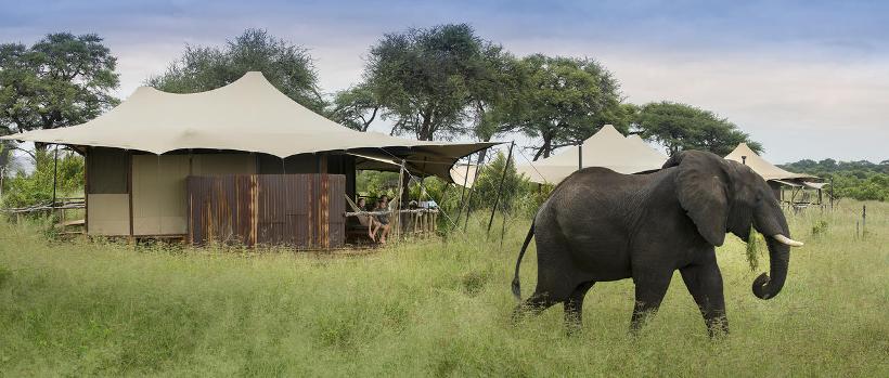 Somalisa Camp (Hwange National Park) Zimbabwe - www.PhotoSafaris.travel