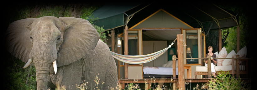 Sanctuary Sanctuary Stanley's Camp
(Okavango Delta) Botswana - www.PhotoSafaris.travel