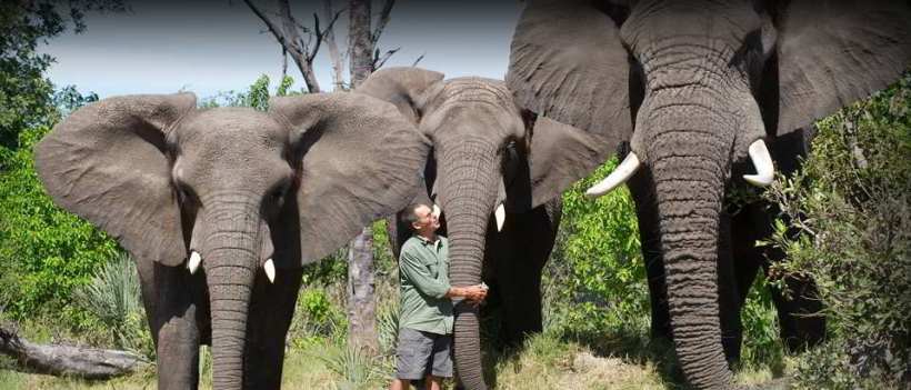 Sanctuary Sanctuary Stanley's Camp
(Okavango Delta) Botswana - www.PhotoSafaris.travel