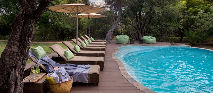 Tanda Tula Safari Camp (Timbavati Private Nature Reserve) South Africa - www.PhotoSafaris.travel