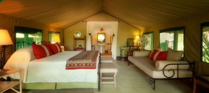 Tanda Tula Safari Camp (Timbavati Private Nature Reserve) South Africa - www.PhotoSafaris.travel