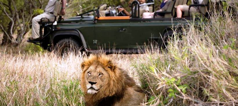 Tanda Tula Safari Camp (Timbavati Private Nature Reserve) South Africa - www.PhotoSafaris.travel