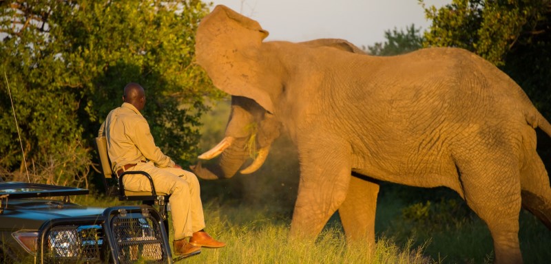 Thornybush Waterside Lodge (Thornybush Game Reserve) South Africa - www.PhotoSafaris.travel