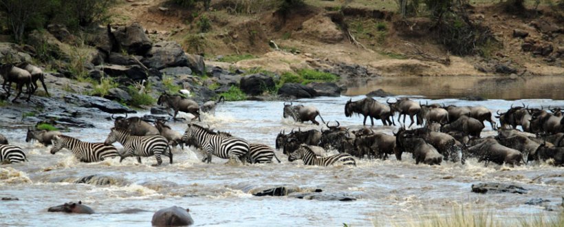 Tipilikwani Tented Camp (Masai Mara Game Reserve) Kenya - www.PhotoSafaris.travel