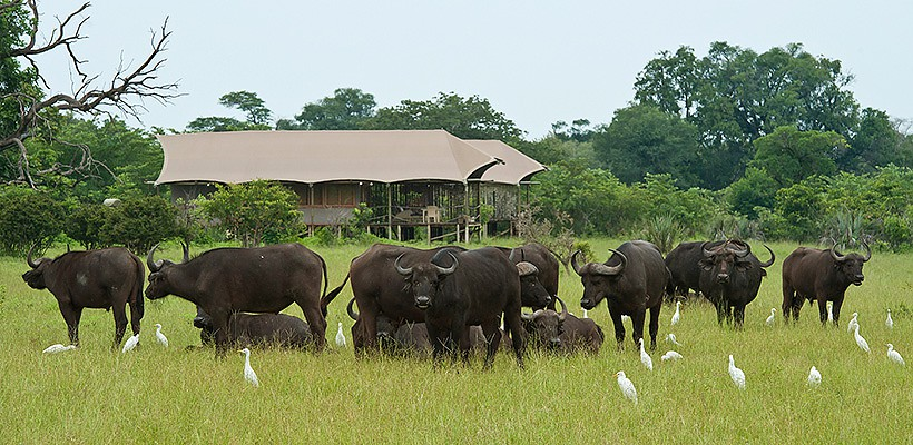 Toka Leya Camp (Mosi oa Tunya National Park, Livingstone) Zambia with Wilderness Safaris - www.PhotoSafaris.travel