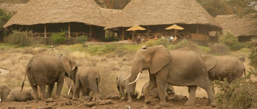 Tortilis Camp (Amboseli National Park) Kenya - www.PhotoSafaris.travel