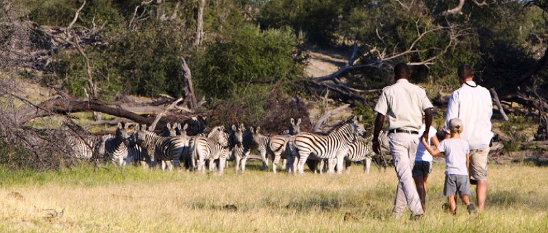 The Ultimate Family Safari with Desert and Delta Safaris in Botswana (9 Days) - www.PhotoSafaris.travel