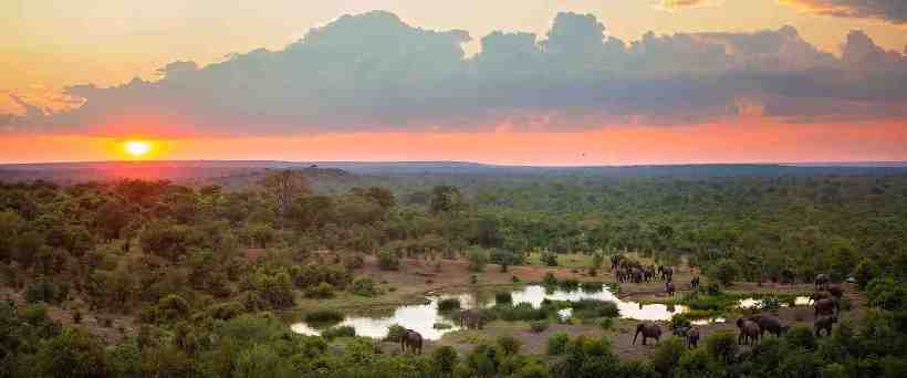 Victoria Falls Safari Lodge (Victoria Falls) Zimbabwe - www.PhotoSafaris.travel