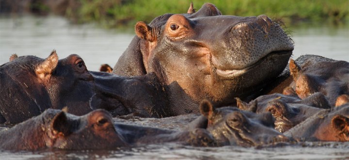 Victoria Falls River Lodge (Victoria Falls) Zimbabwe - www.PhotoSafaris.travel