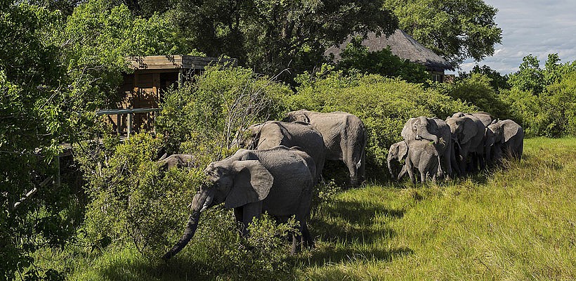 Vumbura Plains Camp (Okavango Delta) Botswana  (Wilderness Safaris) - www.PhotoSafaris.travel