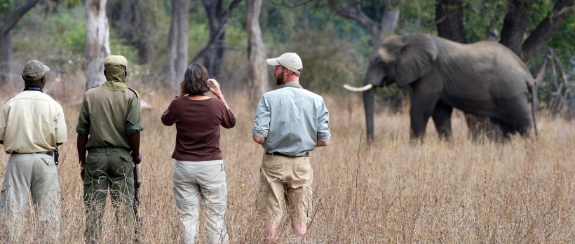 Zungulila Bush Camp (South Luangwa National Park) Zambia - www.PhotoSafaris.travel