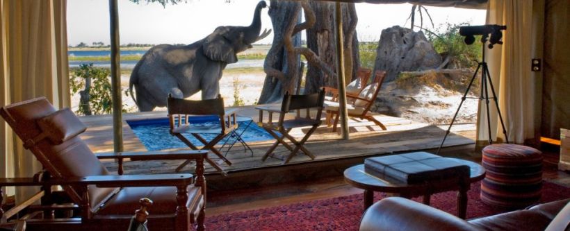 Zarafa Camp (Selinda Reserve) Botswana - www.PhotoSafaris.travel - Zarafa Camp - Pic by Dana Allen