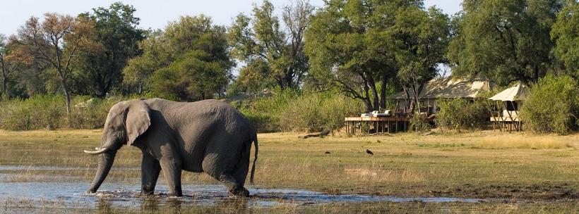 Zarafa Camp (Selinda Reserve) Botswana - www.PhotoSafaris.travel