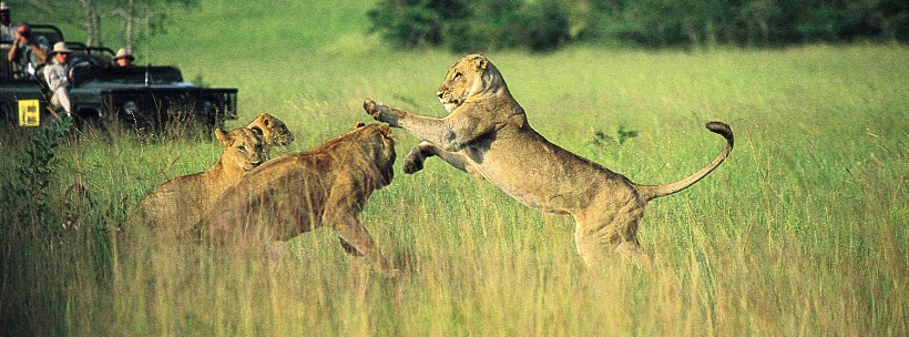 MalaMala Main Camp (Sabie Sand Game Reserve) South Africa - www.Photosafaris.travel